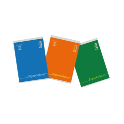 Blocco Colours 5mm A4 60gr...