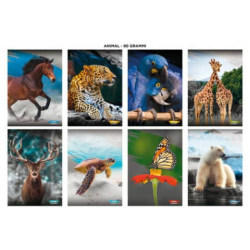 Blasetti Animali Quaderno...