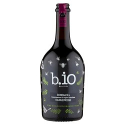 B.IO BpuntoIO Romagna Doc...