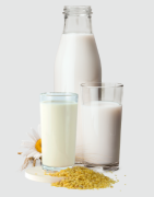 Latte e bevande vegetali